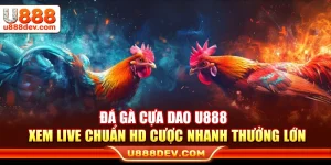 Đá Gà Cựa Dao U888 – Xem Live Chuẩn HD Cược Nhanh Thưởng Lớn