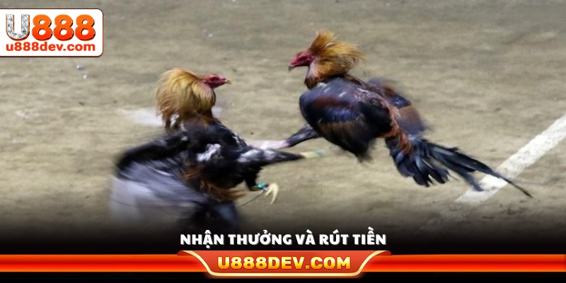 Kết thúc trận hệ thống tự động cộng tiền thưởng