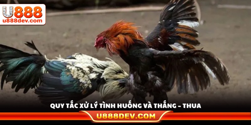 Giải thích quy tắc xác định thắng thua