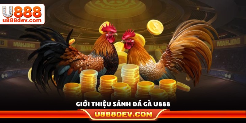 Tổng quan sảnh đá gà U888