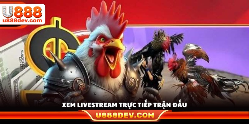 Truy cập kênh live để theo dõi trận đấu đang diễn ra