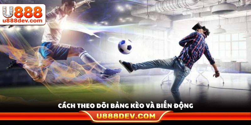 Hướng dẫn cách đọc bảng tỷ lệ