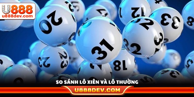 Phân biệt điểm khác nhau giữa hai loại hình