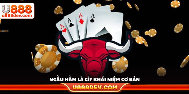 Ngầu hầm là gì? Trò bài đối kháng hấp dẫn 