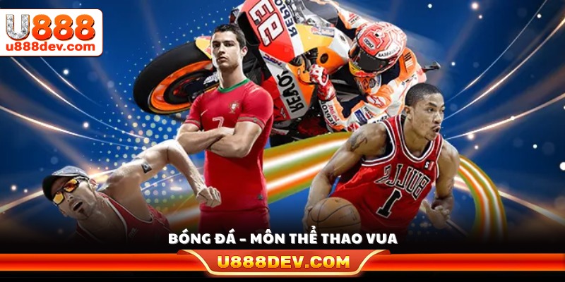 Bóng đá là bộ môn được yêu thích nhất